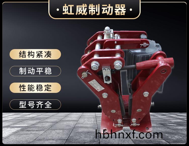 YPZ2-IV-V-VI型電力液壓盤式製動(dong)器(qi)