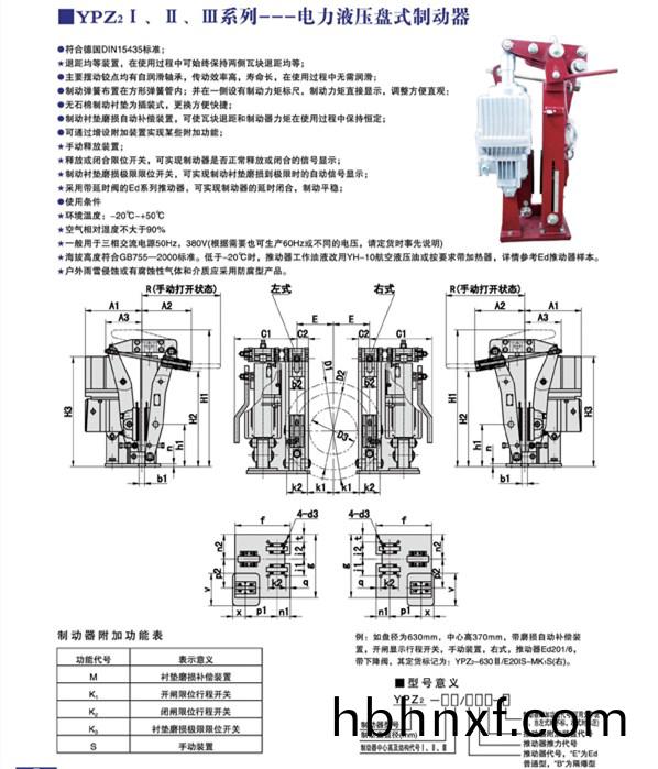 YPZ21